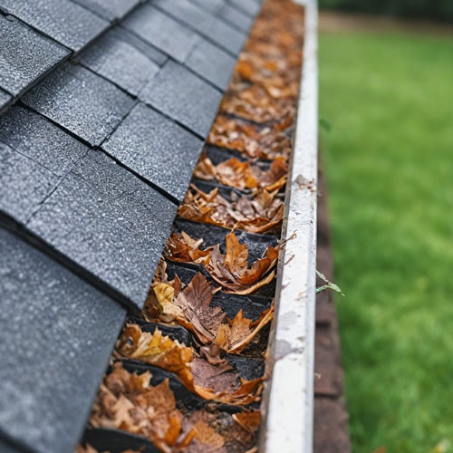 Gutter Guard Services